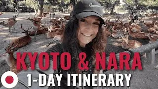 Thumbnail: KYOTO & NARA JAPAN in 1 Day?! Sacred Deer, Bamboo Forest & Torii Gates 🇯🇵