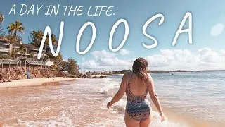 Thumbnail: Ultimate NOOSA Travel Guide! | FAIRY POOLS, SWIMMING & COASTAL WALKS