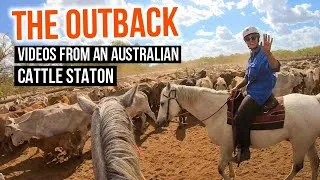 Thumbnail: WORKING ON AN AUSTRALIAN CATTLE STATION | My Outback Adventure!