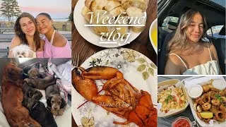 Thumbnail: WEEKEND VLOG | Miloune est en ville, puppy love, bouffe, homard à 1am (!!!)