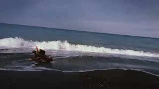 Thumbnail: beach