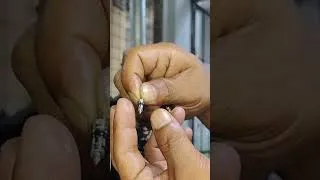 Thumbnail: SR Suntour Auron Air Leakage Fix #srsuntour #mtb #markanthonyracal #teamlukapa #mtbforkmechanic 