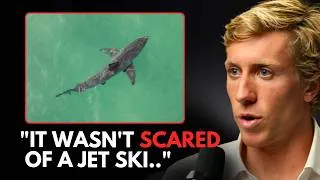 Thumbnail: WARNING: The Scariest Great White Shark Rescue You'll Ever Hear