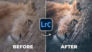 Thumbnail: The #1 Cause Of Bad Wildlife Editing