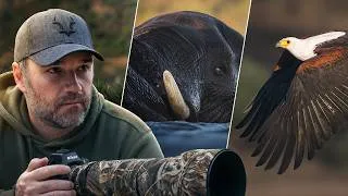 Thumbnail: The Decisions That Made These Wildlife Photos