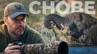 Thumbnail: 5000 Photos Later, Here's What Happened On The Chobe