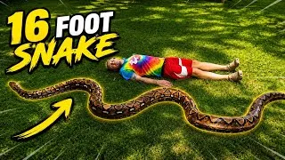 Thumbnail: Hanging out with a GIANT Snake 