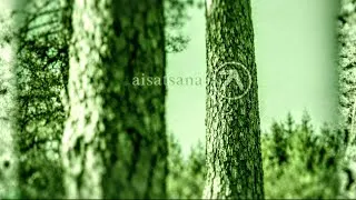 Thumbnail: Aphex Twin – aisatsana [102] (Music Video)