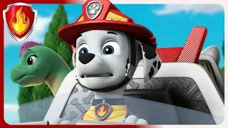 Thumbnail: Look Out! It's a Dinosaur Invasion! Narshall PAW Patrol | Cartoons for Kids