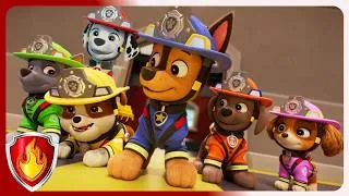 Thumbnail: Introducing the Fire Pups | Marshall PAW Patrol | Cartoons for Kids