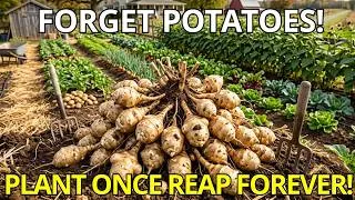 Thumbnail: PLANT NOW! Why No One Sells You This Crop It Beats Potatoes and Grows Itself Forever!