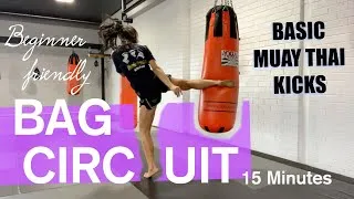 Thumbnail: Basic Muaythai Kicks - BAG WORKOUT | 15 MINS | FOLLOW ALONG