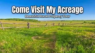 Thumbnail: Quick tour of my backyard