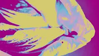 Thumbnail: goodlife - Lady