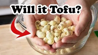 Thumbnail: I tried to make LOTUS SEED TOFU. With tempeh as a backup...