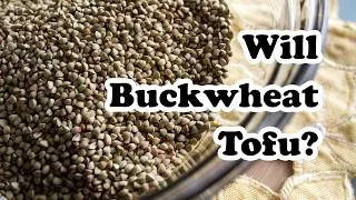 Thumbnail: Will Buckwheat Tofu? | Mary's Test Kitchen