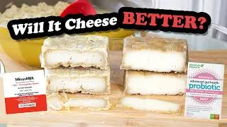 Thumbnail: AGING Vegan Cheese with REAL Cheese Cultures VS Probiotic Pills