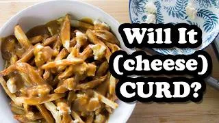 Thumbnail: I tried Miyoko's VEGAN CHEESE CURDS...should you?