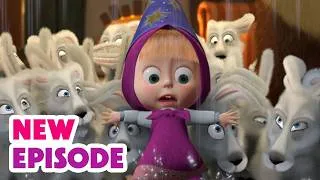 Thumbnail: 🔮🦉First Day At WIZARD School! 🏰 Hokus-Pokus 🧙‍♀️🪄 Watch NEW Episode! ⏩🎬Masha and The Bear: Animation