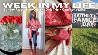 Thumbnail: VLOG | Apartment Reset + 24 Hours in New Orleans & Coach Unboxing