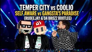 Thumbnail: Temper City vs Coolio - Self Aware vs Gangsta´s Paradise (Rudeejay & Da Brozz Bootleg)