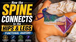 Thumbnail: How the Spine Connects to the Hips & Legs | Functional Anatomy