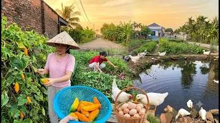 Thumbnail: Peaceful Village Life in Vietnam: A Beautiful Day in the Countryside | Simple Farm Life