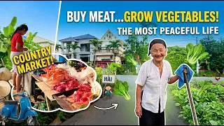 Thumbnail: Beautiful Countryside Vietnam | A Quiet Morning in the Vietnamese Countryside