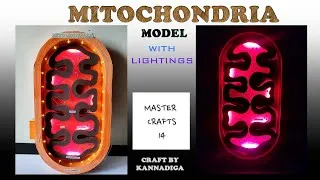 Thumbnail: A 3D Mitochondria Model The powerhouse of the cell / mitochondria model for science exhibition