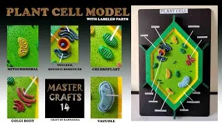 Thumbnail: The Plant Cell A 3D Model for Students with parts labelled