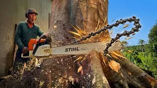 Thumbnail: Monster STIHL 660 vs Massive Tree! (Unbelievable Power & Speed)