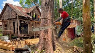 Thumbnail: He Sawed Down GIANT Trees For FREE Just To Build A Home For The Poor!