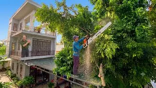 Thumbnail: Satisfying Overgrown Mansion Tree Cleanup! (Rich Owner Gave Huge $1,000 Tip)⁠