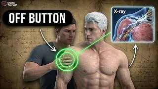 Thumbnail: 10 Body Off-Switches That Stop Fighters (Science)