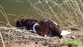 Thumbnail: Spin Casting on North River