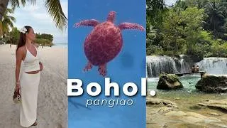 Thumbnail: Bohol, Philippines 🇵🇭 | Chocolate Hills, Dolphins, Turtles & Island Life