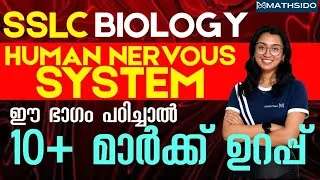 Thumbnail: SSLC Biology Chapter 2 | Human Nervous System | Onam Exam Special Revision