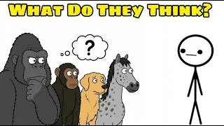 Thumbnail: What Do Animals Actually Think About Humans