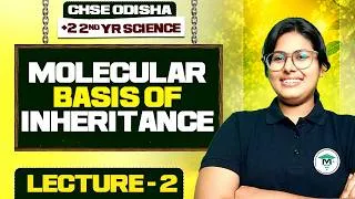 Thumbnail: +2 2nd Year Botany Chapter 3 One Shot | Molecular Basis of Inheritance | Class 12th Botany Chapter 3