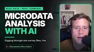 Thumbnail: Microdata Analysis with AI