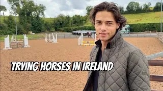 Thumbnail: Did We Find the Perfect Hunting Horse in Ireland?
