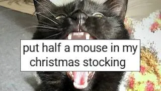 Thumbnail: Tales of Pets Tormenting their Owners