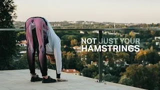 Thumbnail: Mechanics of Touching Your Toes (with hands or head)