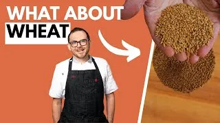 Thumbnail: Canadian Wheat Flour Explained: All-Purpose vs Whole Wheat, Semolina, Bread & More