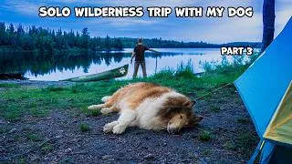 Thumbnail: Solo Wilderness Canoe Trip With My Dog - Part 3