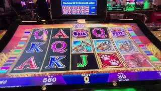 Thumbnail: Testing My Luck on Cats Freeplay Does It Pay?