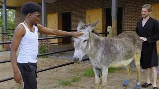 Thumbnail: Kam Patterson Had Beef With My Donkey | Farm Chores With Matt Mathews