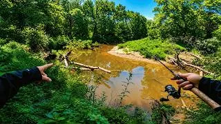 Thumbnail: Fishing a Southern Creek For Anything That Bites!!!