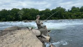 Thumbnail: Fishing a Deadly River for Aggressive Fish!!!