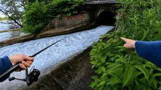 Thumbnail: I Shouldn't Have Fished This Hazardous Spillway...